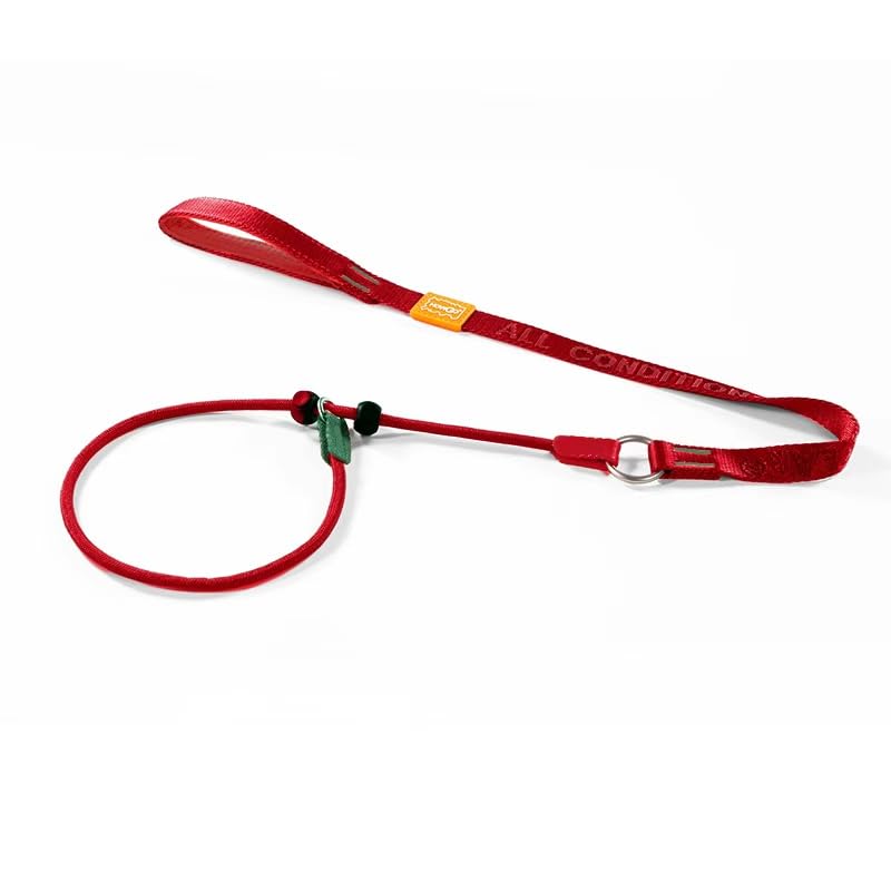 HowGo Slip Lead Dog Leash with 2 Spring-Loaded Stoppers (Black 5.0FT)