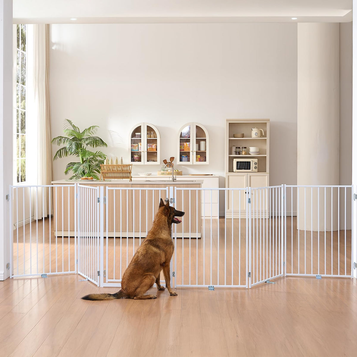 No Pawblems Freestanding Dog Gate with Door for Indoor & Outdoor, 36'' Tall