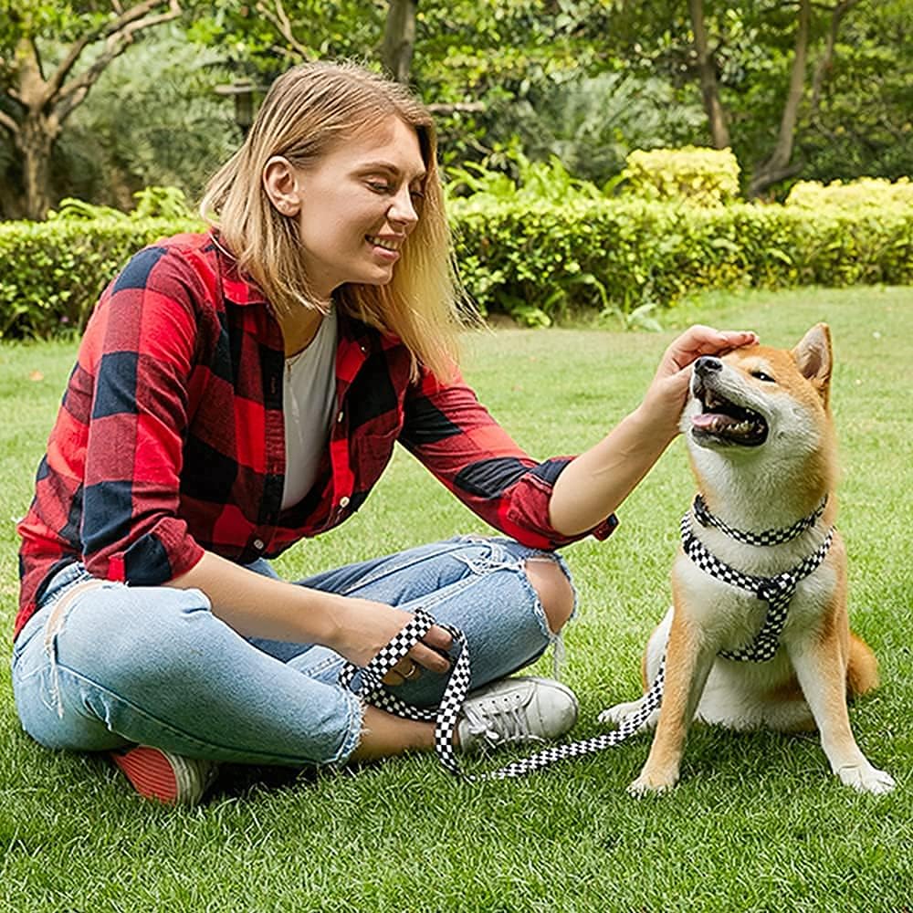 Roses&Poetry Dog Collar and Leash for Small,Adjustable Durable 5ft Puppy Leash Collar for Dog Training Lead(Black & White-S)