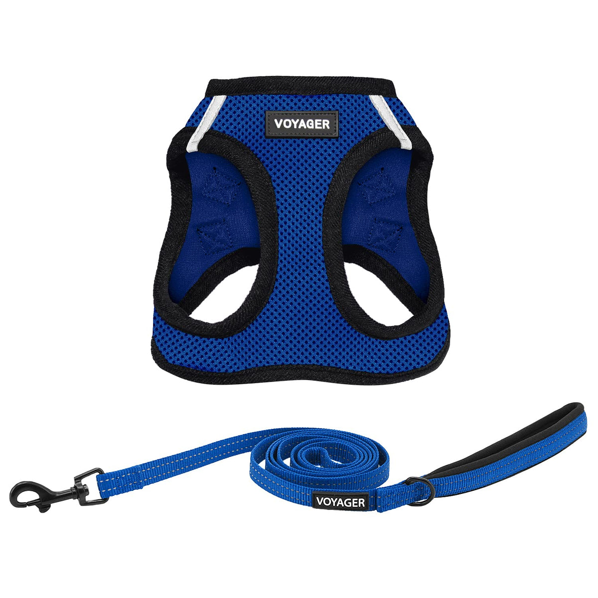 Best Pet Supplies Voyager Step-in Air All Weather Mesh Harness and Reflective Dog 5ft Leash Combo with Neoprene Handle, for Small, Medium and Large Breed Puppies - Baby Blue, XX-Small
