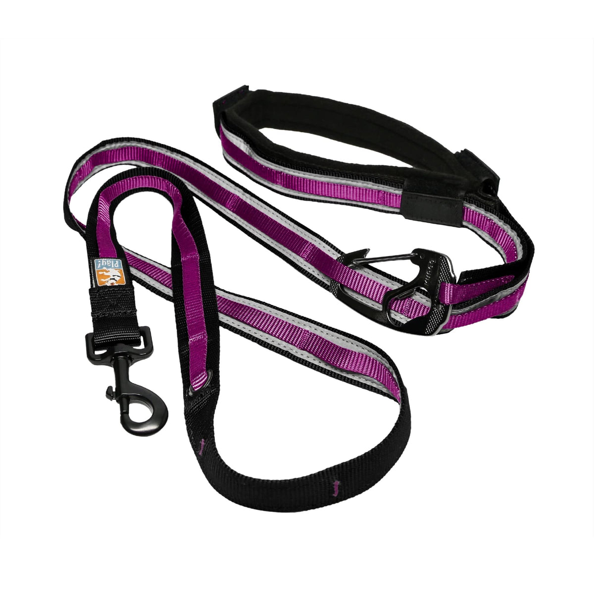 Kurgo Quantum 6 in 1 Dog Leash, Blue