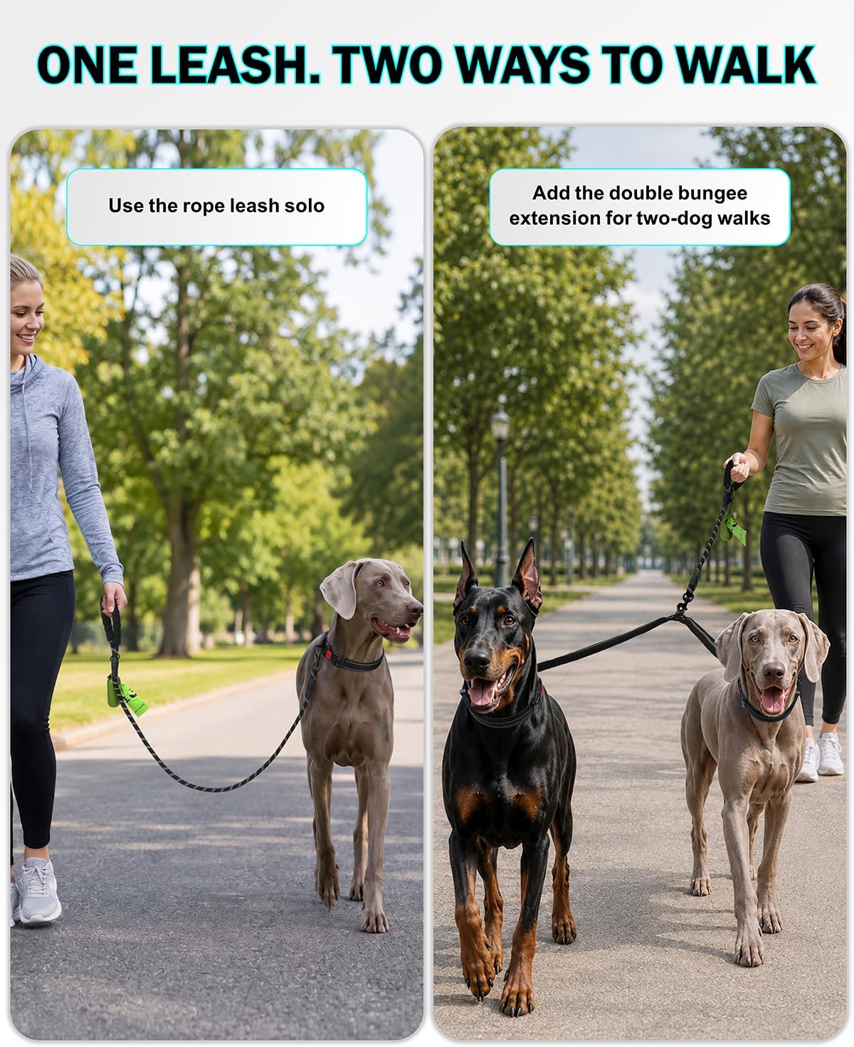 Taglory Double Dog Leash for Two Dogs No Tangle, Bungee Extension, Large