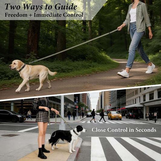 Double Handle Dog Leash, 6 FT Reflective, for Medium Large Dogs