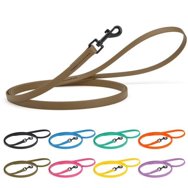 Dogline Biothane Waterproof Dog Leash Strong Coated Nylon Webbing with Black Hardware Odor-Proof Easy to Clean High Performance for Small or Large Dogs Made in USA 4 or 6 ft Lead, Amethyst Purple
