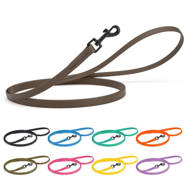 Dogline Biothane Waterproof Dog Leash Strong Coated Nylon Webbing with Black Hardware Odor-Proof Easy to Clean High Performance for Small or Large Dogs Made in USA 4 or 6 ft Lead, Amethyst Purple