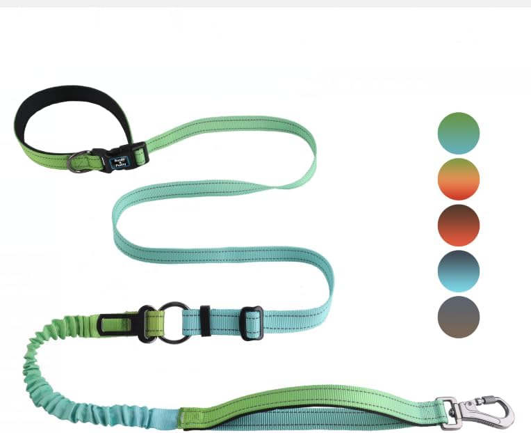 Roses&Poetry Hands Free Dog Leash for Medium Large Dogs Heavy Duty, No Pull Bungee Dog Running Waist Leash for Walking Training with Car Seatbelt 4-6FT