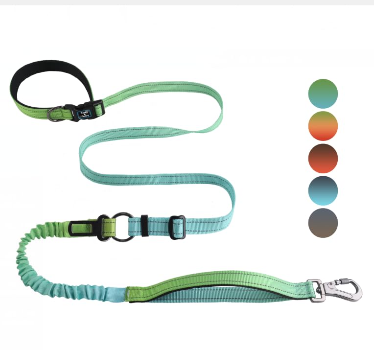 Roses&Poetry Hands Free Dog Leash for Medium Large Dogs Heavy Duty, No Pull Bungee Dog Running Waist Leash for Walking Training with Car Seatbelt 4-6FT