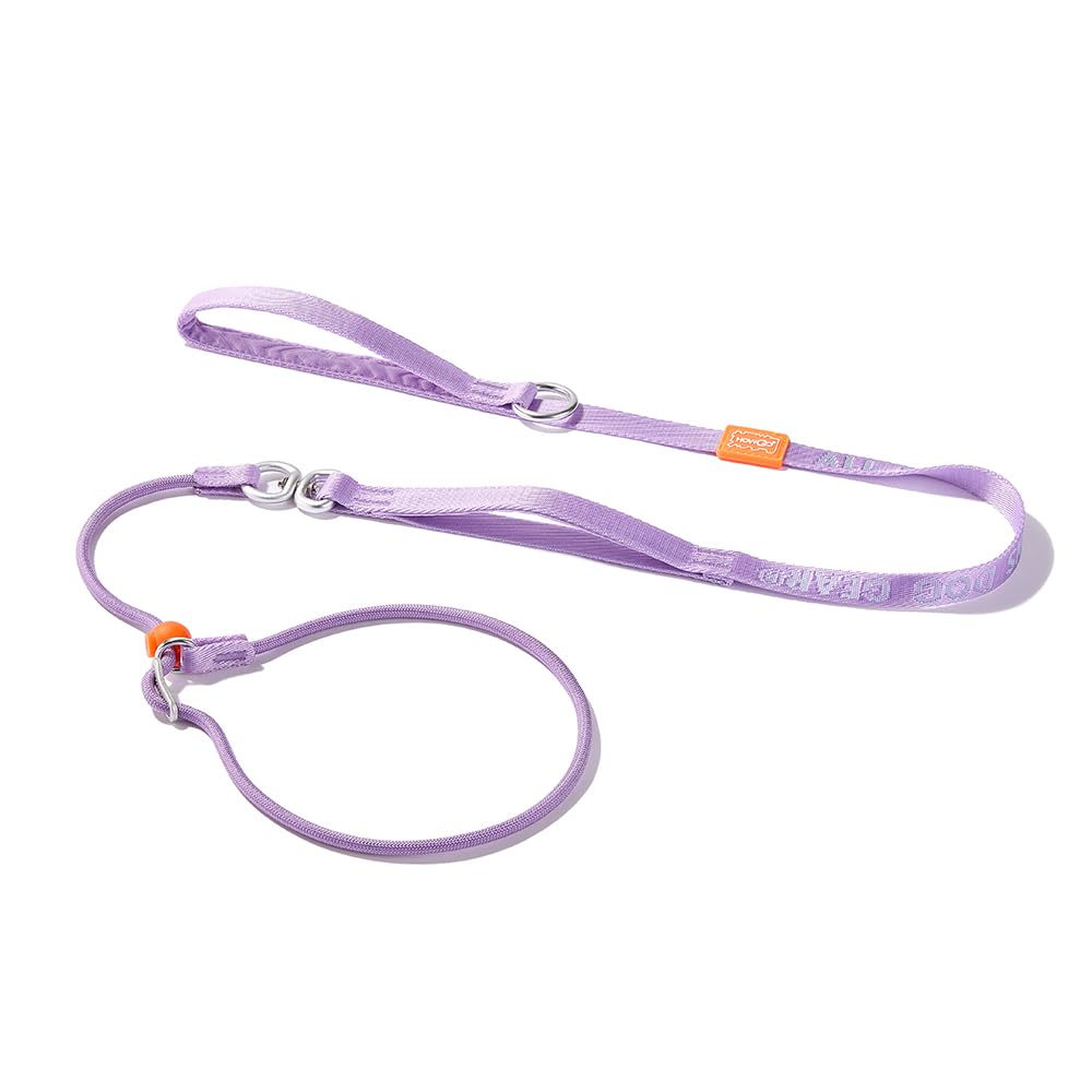 HowGo Slip Lead Dog Leash with 2 Spring-Loaded Stoppers (Black 5.0FT)