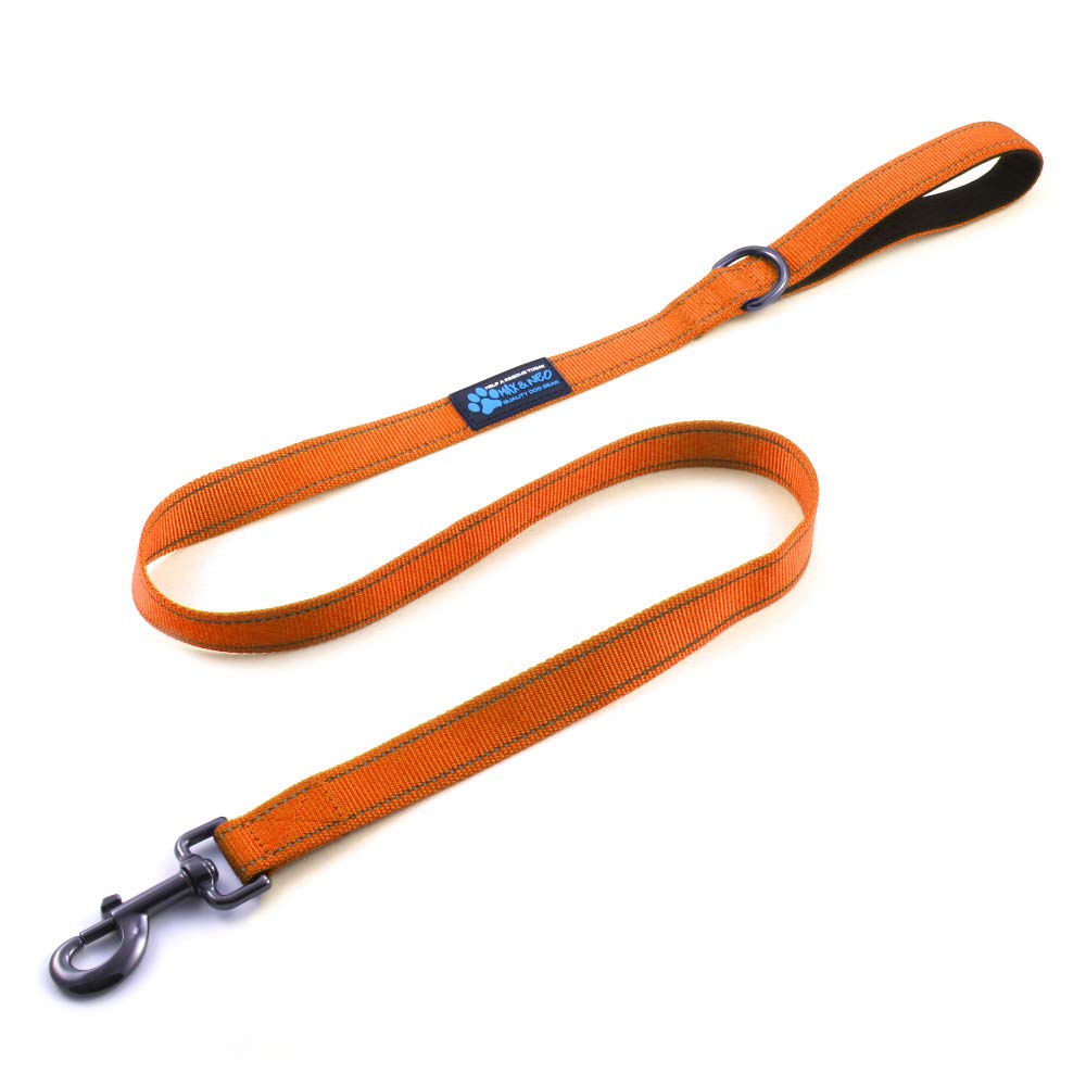 Max and Neo Reflective Nylon Dog Leash - We Donate a Leash to a Dog Rescue for Every One Sold (Teal, 6x1)