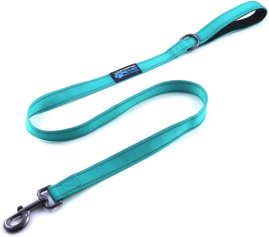 Max and Neo Reflective Nylon Dog Leash - We Donate a Leash to a Dog Rescue for Every One Sold (Teal, 6x1)