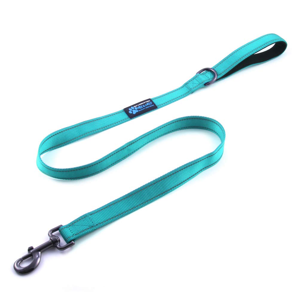 Max and Neo Reflective Nylon Dog Leash - We Donate a Leash to a Dog Rescue for Every One Sold (Teal, 6x1)