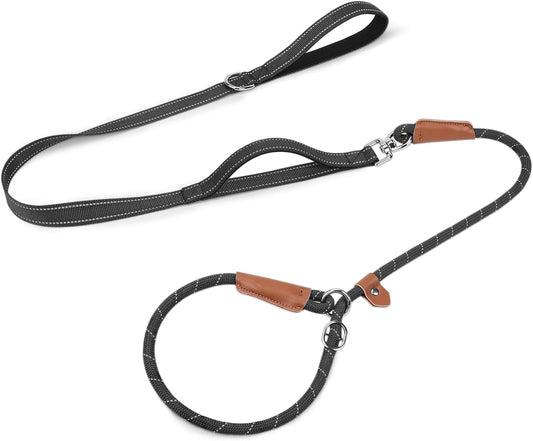 Joytale Slip Lead Dog Leash with Dual Handle, No Pull, Black, 6FT x 3/8"