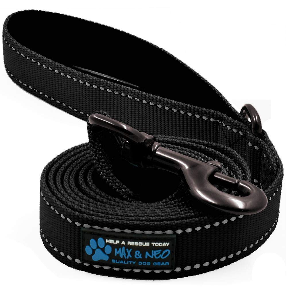 Max and Neo Reflective Nylon Dog Leash - We Donate a Leash to a Dog Rescue for Every One Sold (Teal, 6x1)
