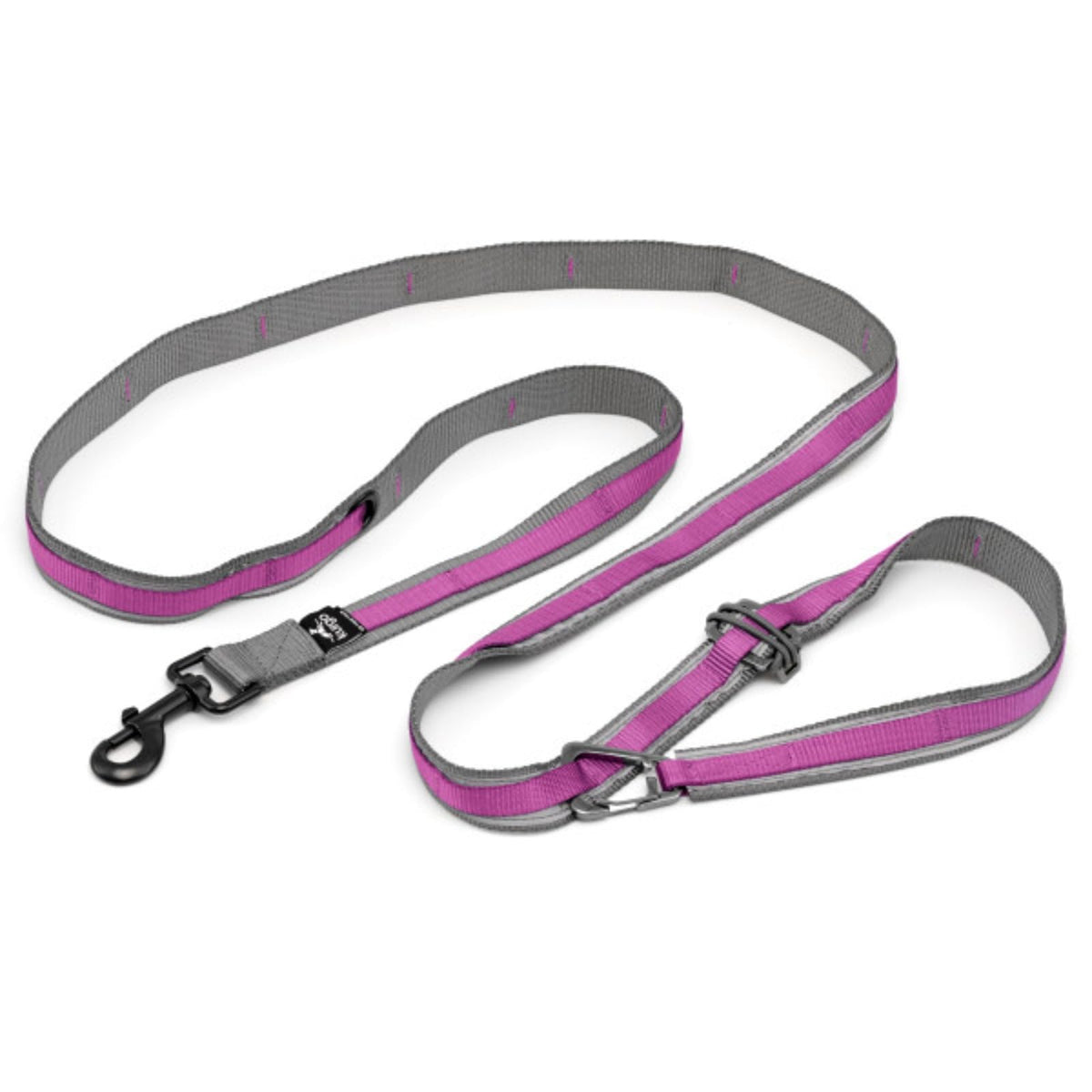Kurgo Quantum 6 in 1 Dog Leash, Blue