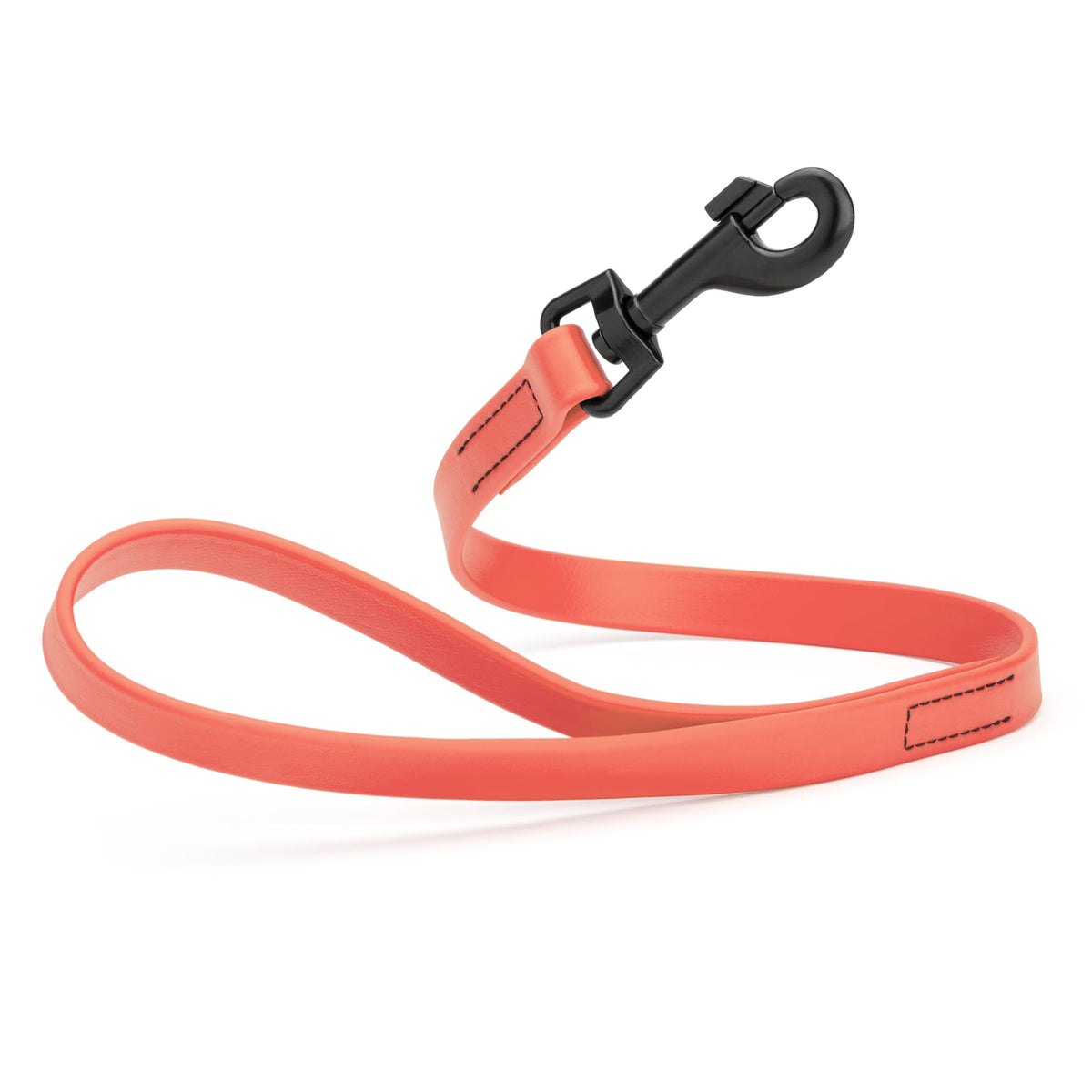 Dogline Biothane Waterproof Dog Leash Strong Coated Nylon Webbing with Black Hardware Odor-Proof Easy to Clean High Performance for Small or Large Dogs Made in USA 4 or 6 ft Lead, Amethyst Purple