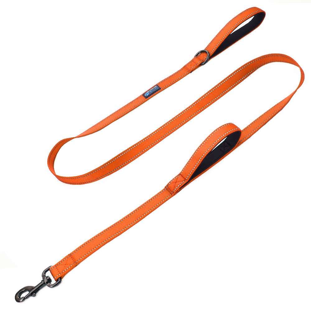 Max and Neo Double Handle Traffic Dog Leash - Reflective, Donates to Dog Rescue (Black, 6 FT)