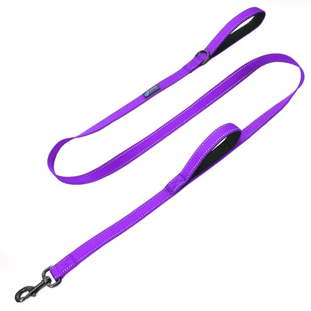 Max and Neo Double Handle Traffic Dog Leash - Reflective, Donates to Dog Rescue (Black, 6 FT)