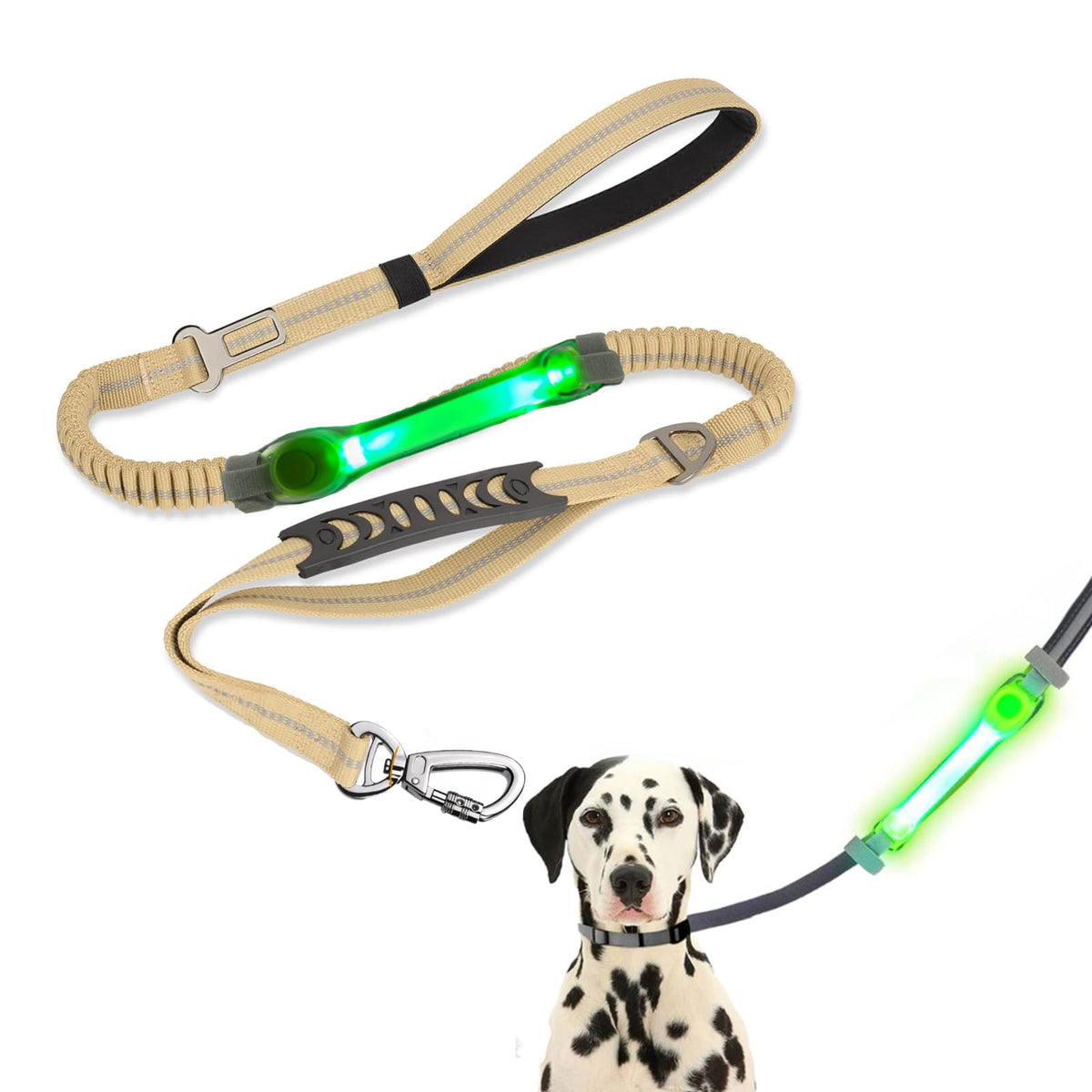 Heavy Duty Bungee Dog Leash with Locking Carabiner for Large Dogs