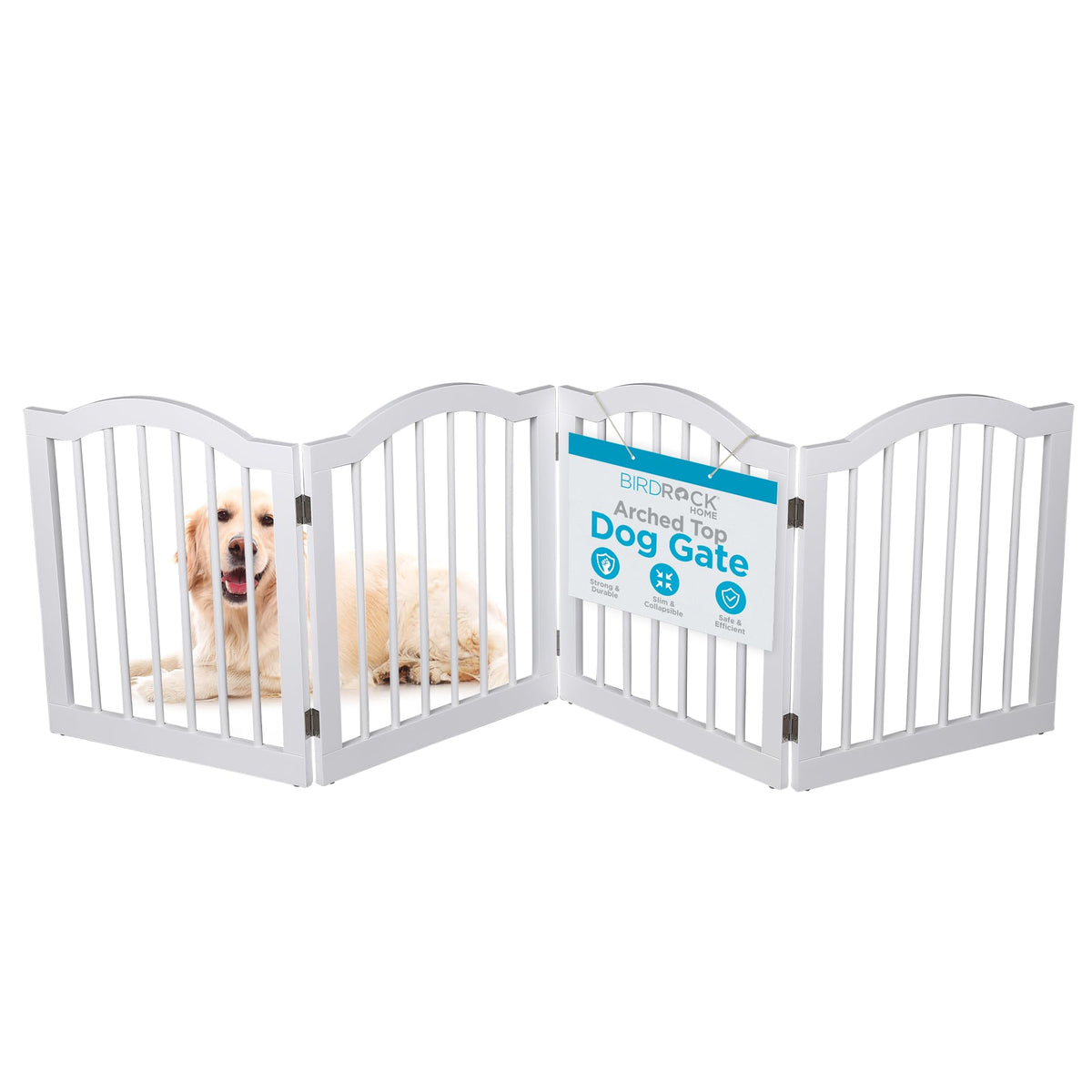 INTERNET'S BEST Arched Top Dog Gate | 4 Panel, 24" H Wooden Pet Barrier for Dogs or Cats | Freestanding Folding Room Divider for Doorways, Hallways, Stairs, and Porch | Portable, Extra Wide | Espresso