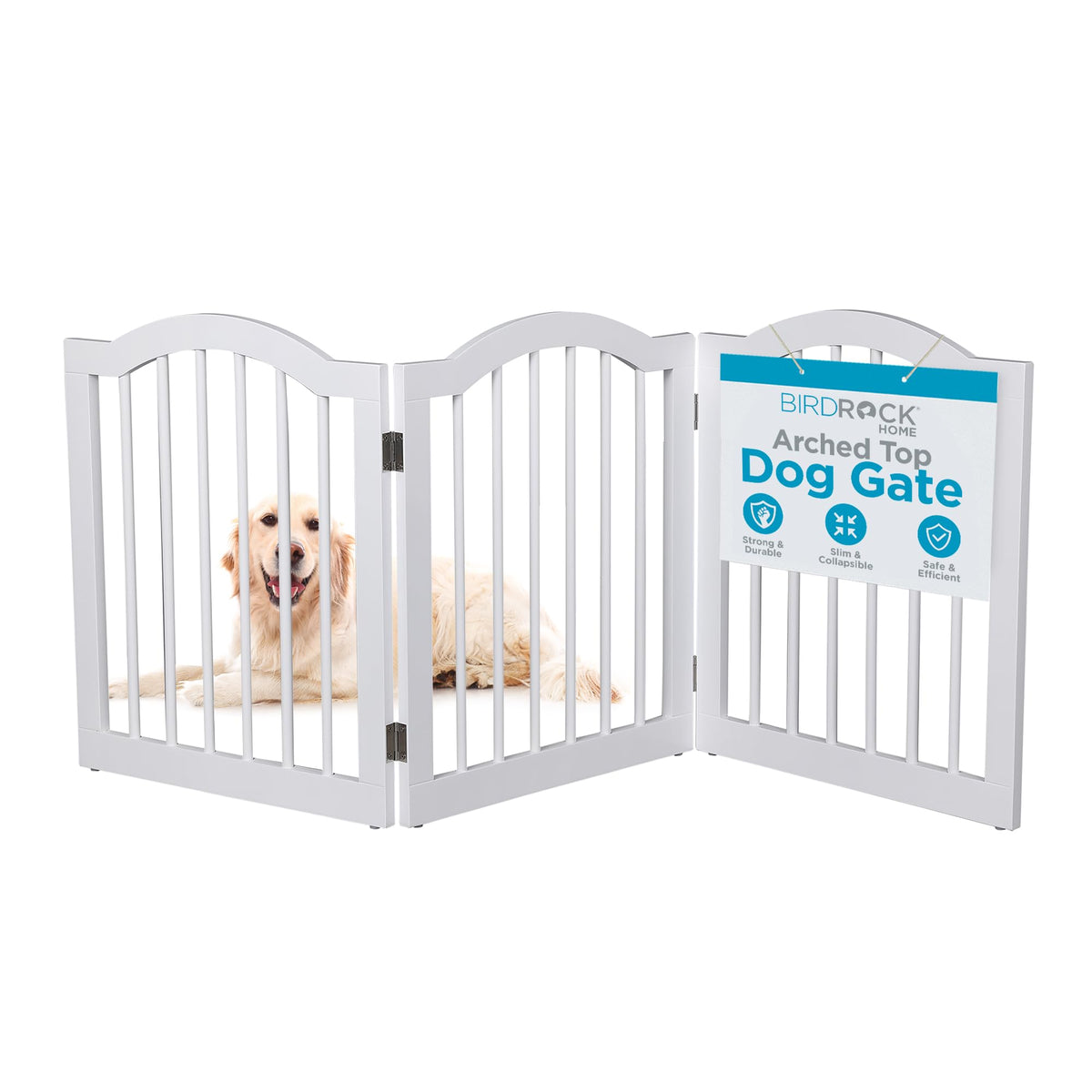 INTERNET'S BEST Arched Top Dog Gate | 4 Panel, 24" H Wooden Pet Barrier for Dogs or Cats | Freestanding Folding Room Divider for Doorways, Hallways, Stairs, and Porch | Portable, Extra Wide | Espresso