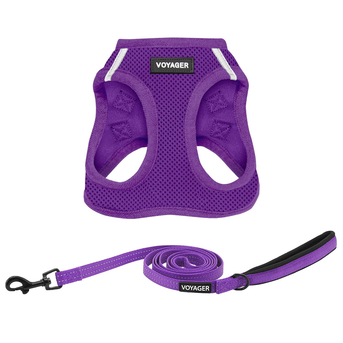 Best Pet Supplies Voyager Step-in Air All Weather Mesh Harness and Reflective Dog 5ft Leash Combo with Neoprene Handle, for Small, Medium and Large Breed Puppies - Baby Blue, XX-Small