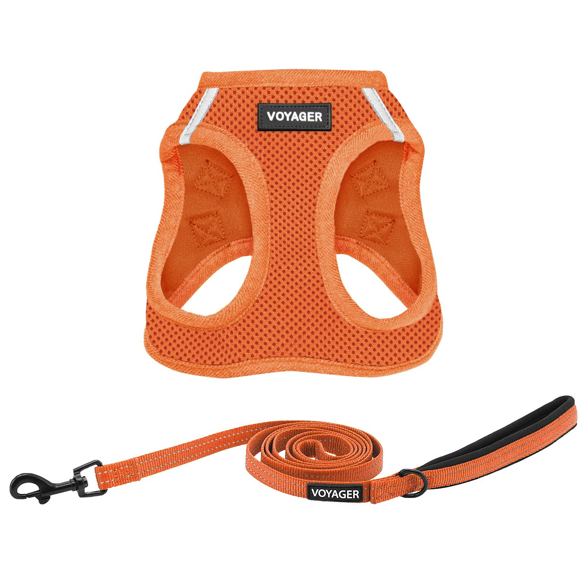 Best Pet Supplies Voyager Step-in Air All Weather Mesh Harness and Reflective Dog 5ft Leash Combo with Neoprene Handle, for Small, Medium and Large Breed Puppies - Baby Blue, XX-Small