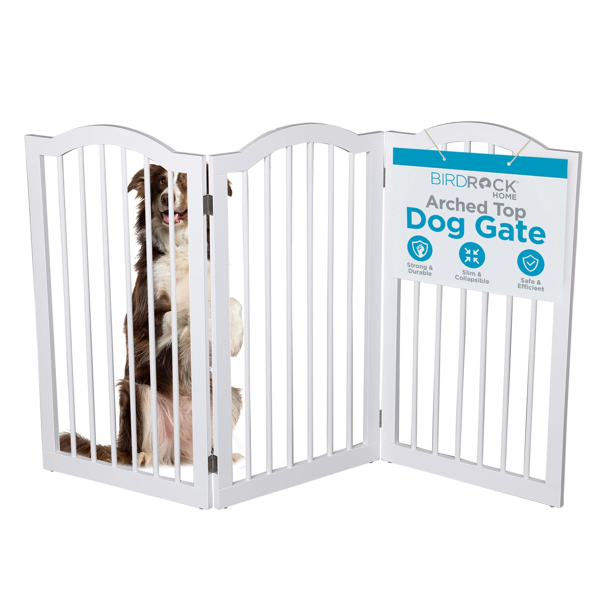 INTERNET'S BEST Arched Top Dog Gate | 4 Panel, 24" H Wooden Pet Barrier for Dogs or Cats | Freestanding Folding Room Divider for Doorways, Hallways, Stairs, and Porch | Portable, Extra Wide | Espresso