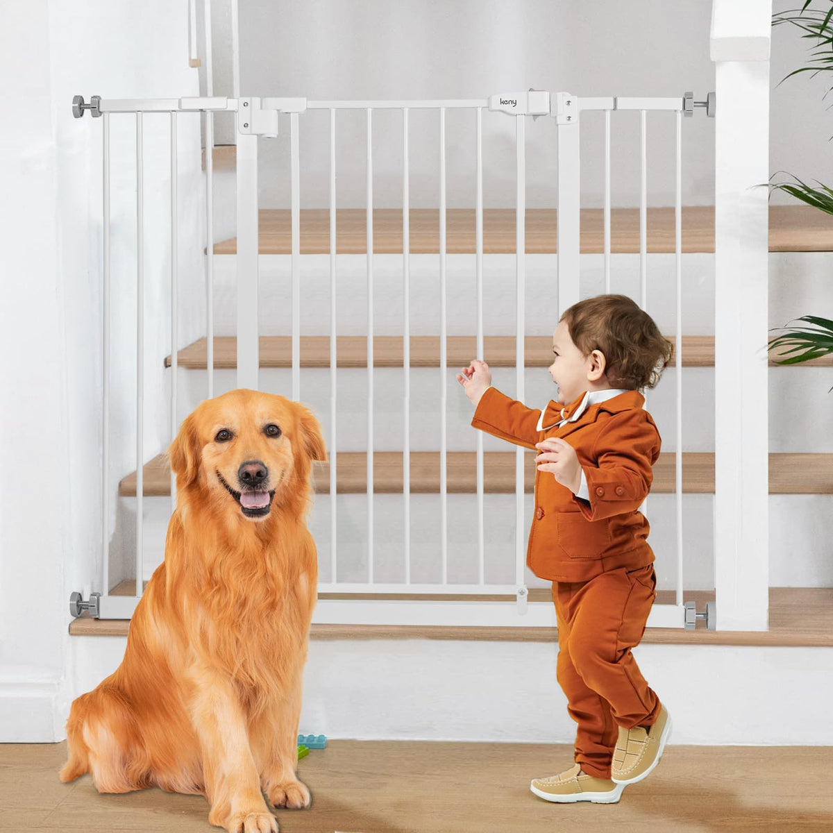 keny 29"-42.5" Baby Gate for Stairs, Auto Close Safety Dog Gate