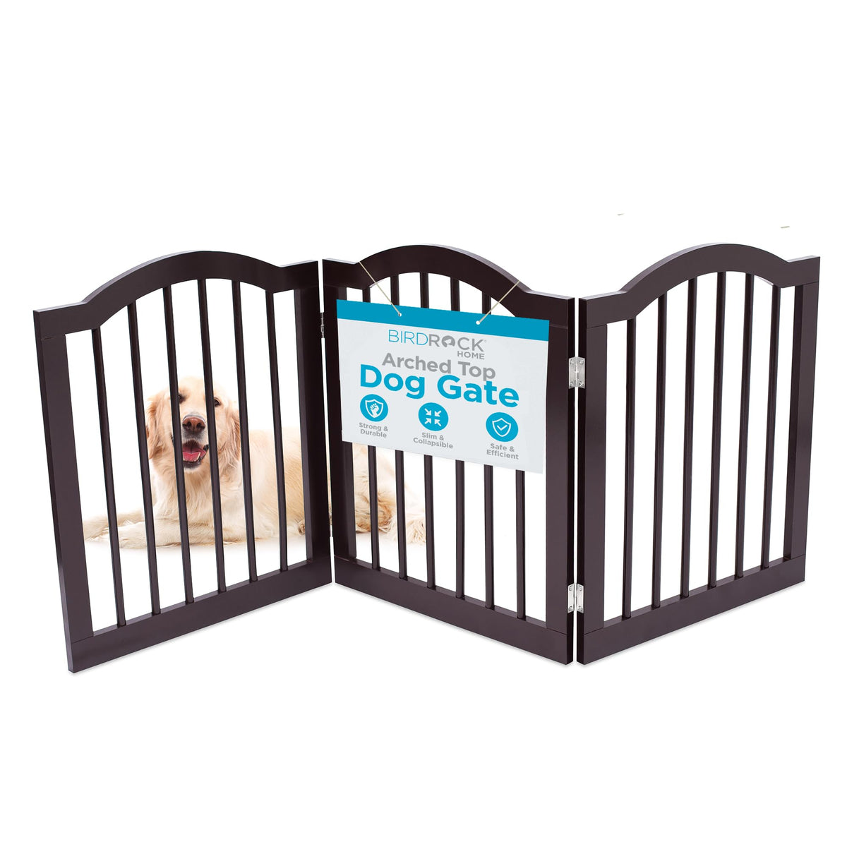 INTERNET'S BEST Arched Top Dog Gate | 4 Panel, 24" H Wooden Pet Barrier for Dogs or Cats | Freestanding Folding Room Divider for Doorways, Hallways, Stairs, and Porch | Portable, Extra Wide | Espresso
