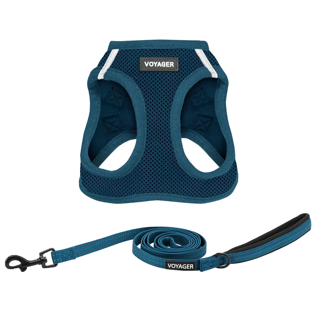 Best Pet Supplies Voyager Step-in Air All Weather Mesh Harness and Reflective Dog 5ft Leash Combo with Neoprene Handle, for Small, Medium and Large Breed Puppies - Baby Blue, XX-Small