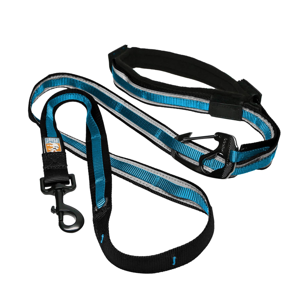 Kurgo Quantum 6 in 1 Dog Leash, Blue