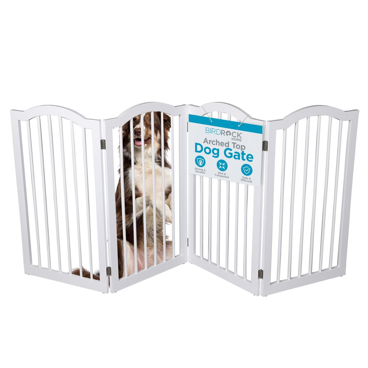 INTERNET'S BEST Arched Top Dog Gate | 4 Panel, 24" H Wooden Pet Barrier for Dogs or Cats | Freestanding Folding Room Divider for Doorways, Hallways, Stairs, and Porch | Portable, Extra Wide | Espresso
