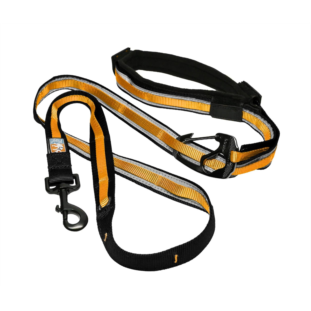 Kurgo Quantum 6 in 1 Dog Leash, Blue