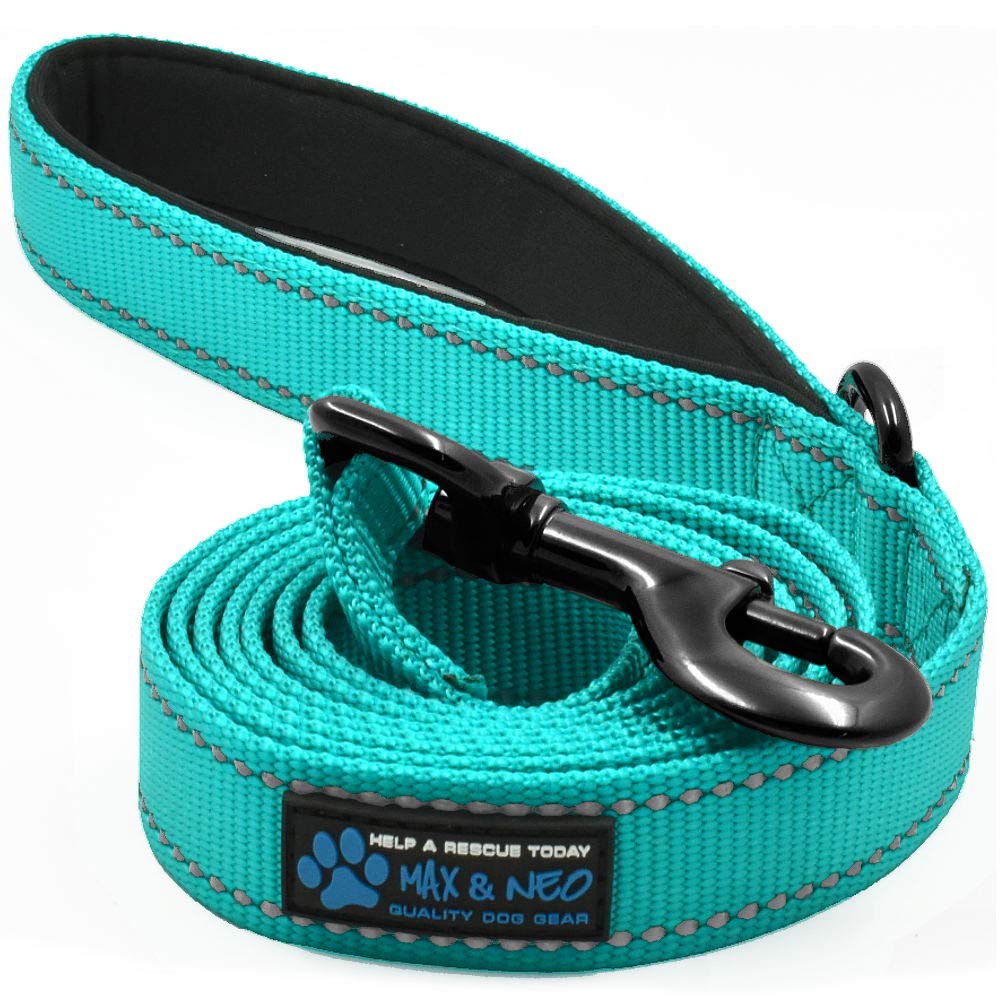 Max and Neo Reflective Nylon Dog Leash - We Donate a Leash to a Dog Rescue for Every One Sold (Teal, 6x1)