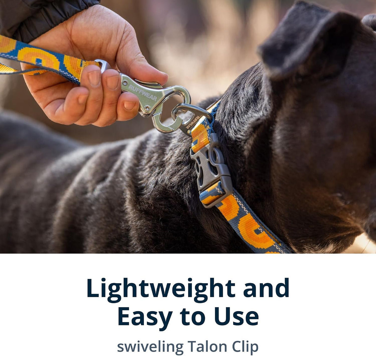 Ruffwear, Crag Dog Leash, Reflective Everyday 6 ft Lead, Alpine Dusk