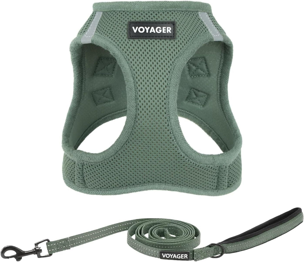 Best Pet Supplies Voyager Step-in Air All Weather Mesh Harness and Reflective Dog 5ft Leash Combo with Neoprene Handle, for Small, Medium and Large Breed Puppies - Baby Blue, XX-Small