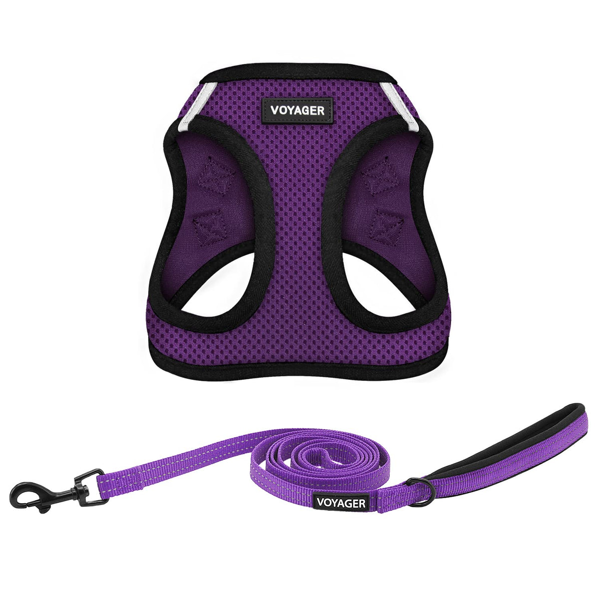 Best Pet Supplies Voyager Step-in Air All Weather Mesh Harness and Reflective Dog 5ft Leash Combo with Neoprene Handle, for Small, Medium and Large Breed Puppies - Baby Blue, XX-Small