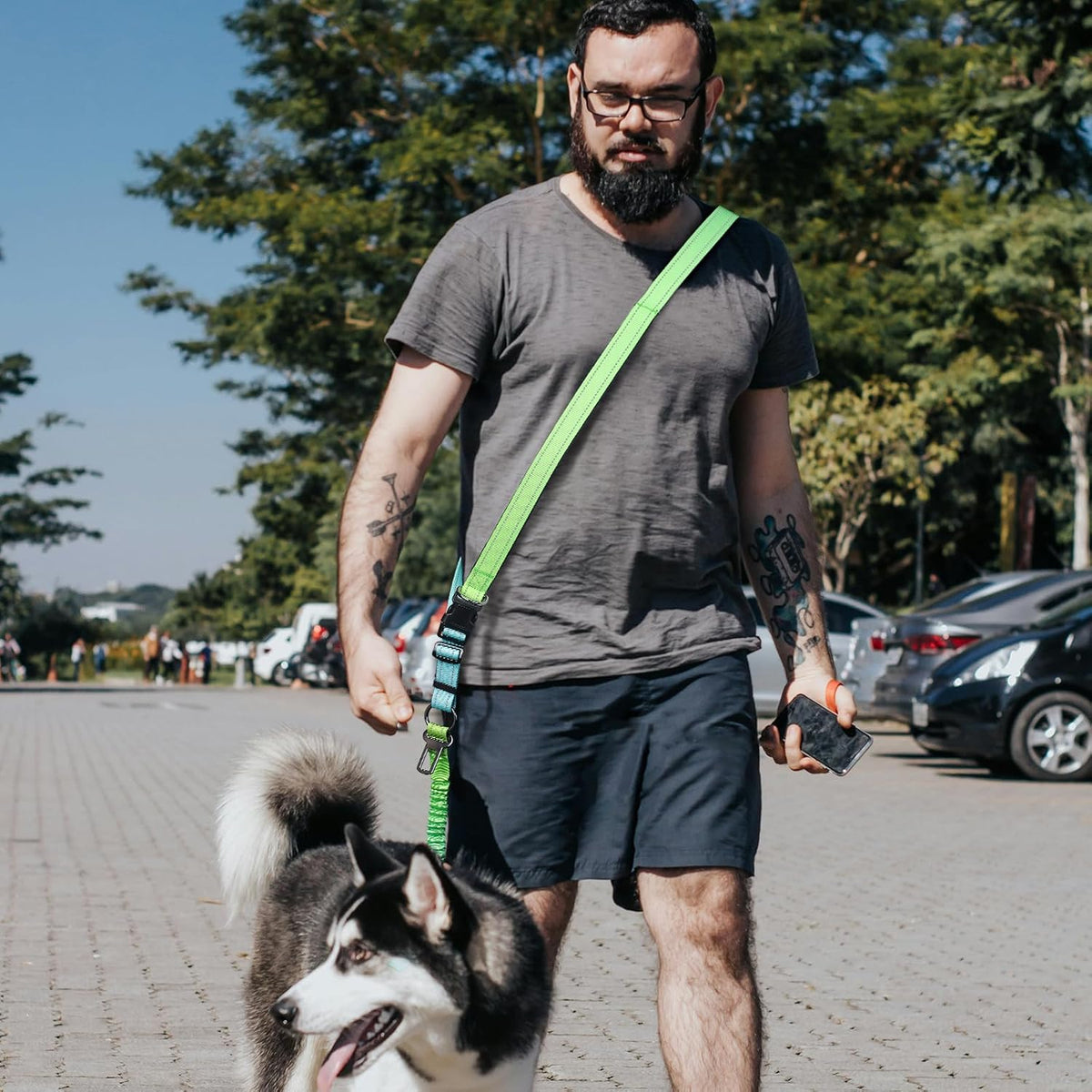 Roses&Poetry Hands Free Dog Leash for Medium Large Dogs Heavy Duty, No Pull Bungee Dog Running Waist Leash for Walking Training with Car Seatbelt 4-6FT