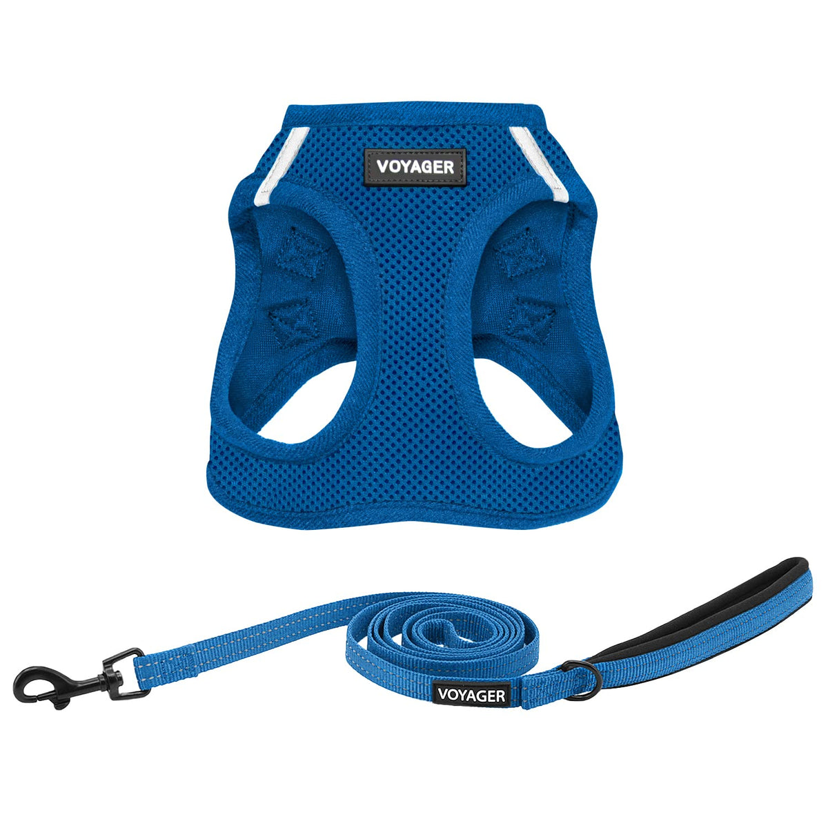 Best Pet Supplies Voyager Step-in Air All Weather Mesh Harness and Reflective Dog 5ft Leash Combo with Neoprene Handle, for Small, Medium and Large Breed Puppies - Baby Blue, XX-Small