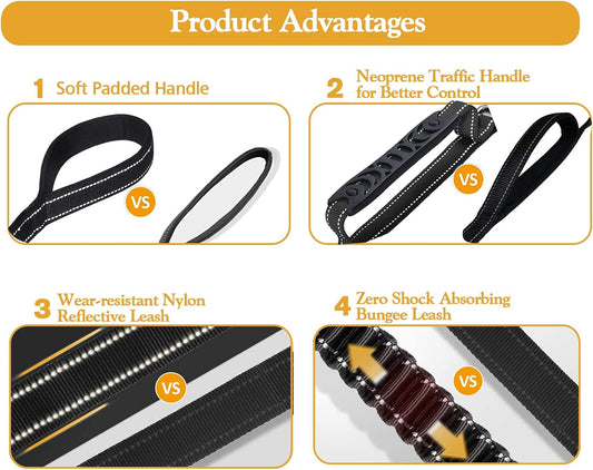 Heavy Duty Bungee Dog Leash with Locking Carabiner for Large Dogs