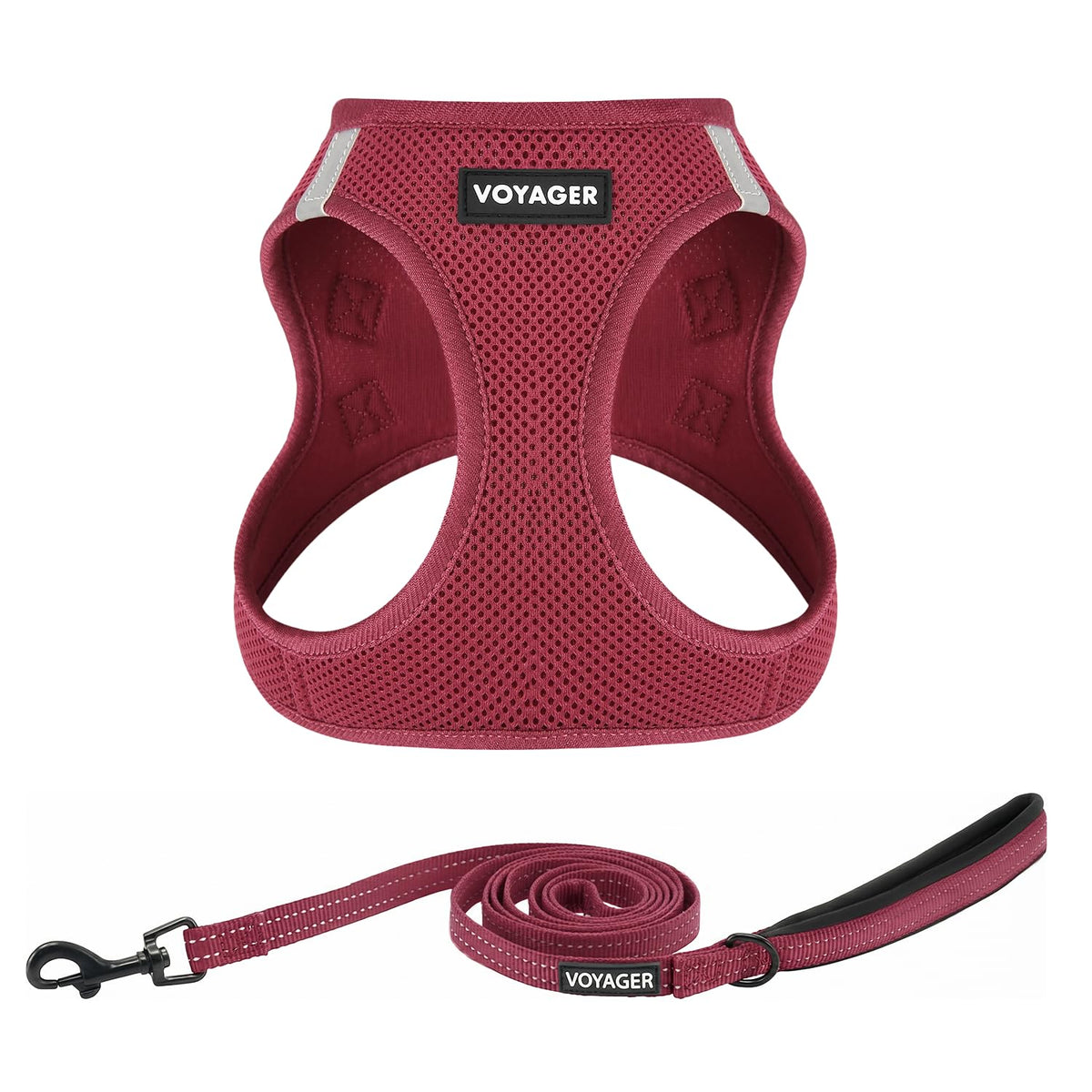 Best Pet Supplies Voyager Step-in Air All Weather Mesh Harness and Reflective Dog 5ft Leash Combo with Neoprene Handle, for Small, Medium and Large Breed Puppies - Baby Blue, XX-Small