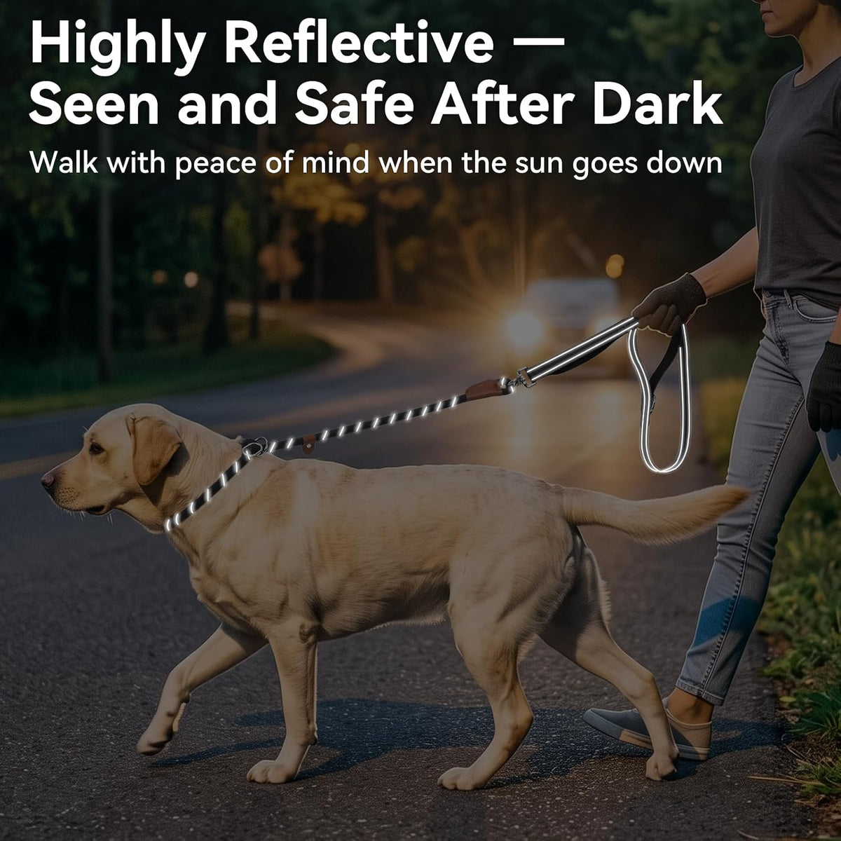 Joytale Slip Lead Dog Leash with Dual Handle, No Pull, Black, 6FT x 3/8"