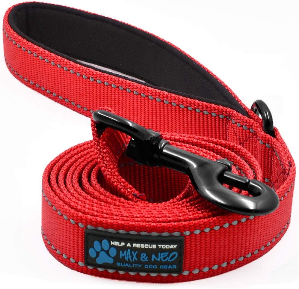 Max and Neo Reflective Nylon Dog Leash - We Donate a Leash to a Dog Rescue for Every One Sold (Teal, 6x1)
