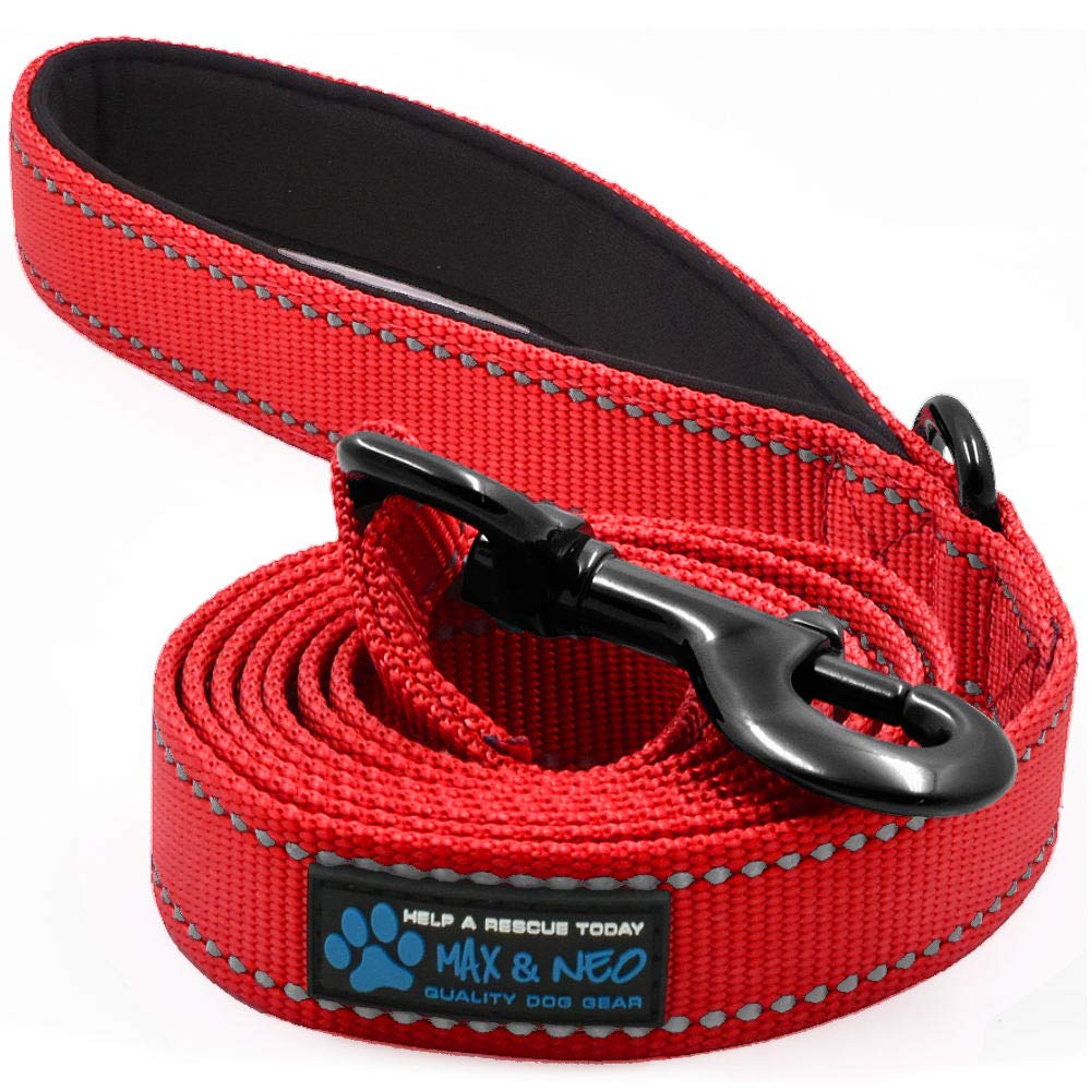 Max and Neo Reflective Nylon Dog Leash - We Donate a Leash to a Dog Rescue for Every One Sold (Teal, 6x1)