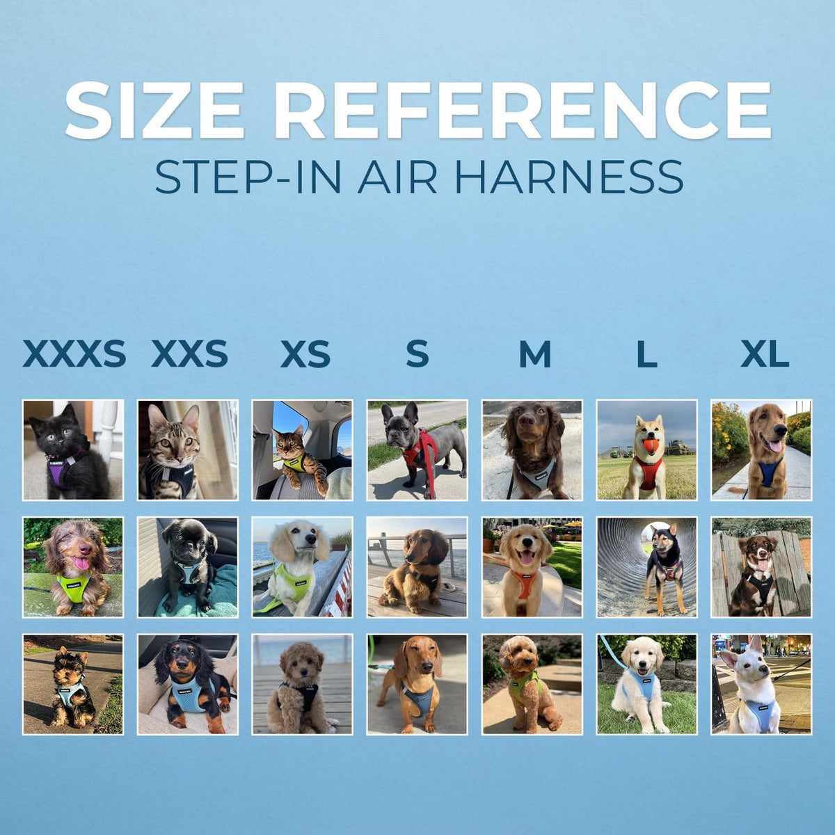 Best Pet Supplies Voyager Step-in Air All Weather Mesh Harness and Reflective Dog 5ft Leash Combo with Neoprene Handle, for Small, Medium and Large Breed Puppies - Baby Blue, XX-Small