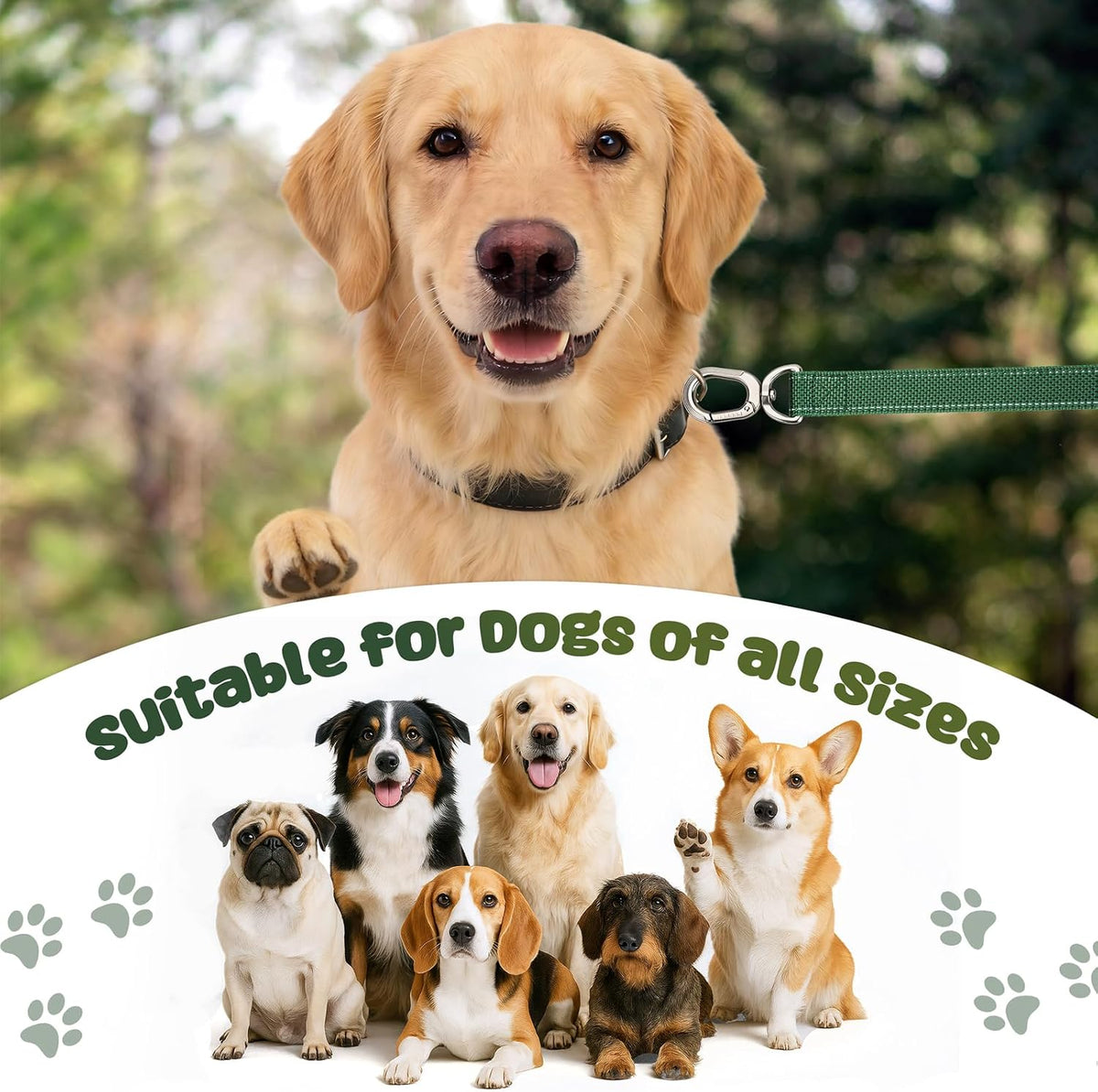 Heavy Duty Dog Leash with Easy Lock Metal Clip, Reflective, Padded Handle - Durable 4ft Walking Training Green Leash for Large, Medium, Small Dogs, Jogging, Hiking, and Outdoor Use