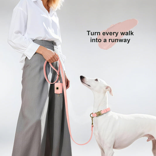 Didog PU Leather Dog Leash for Medium Large Dogs, 3/4in x 5ft, Pink