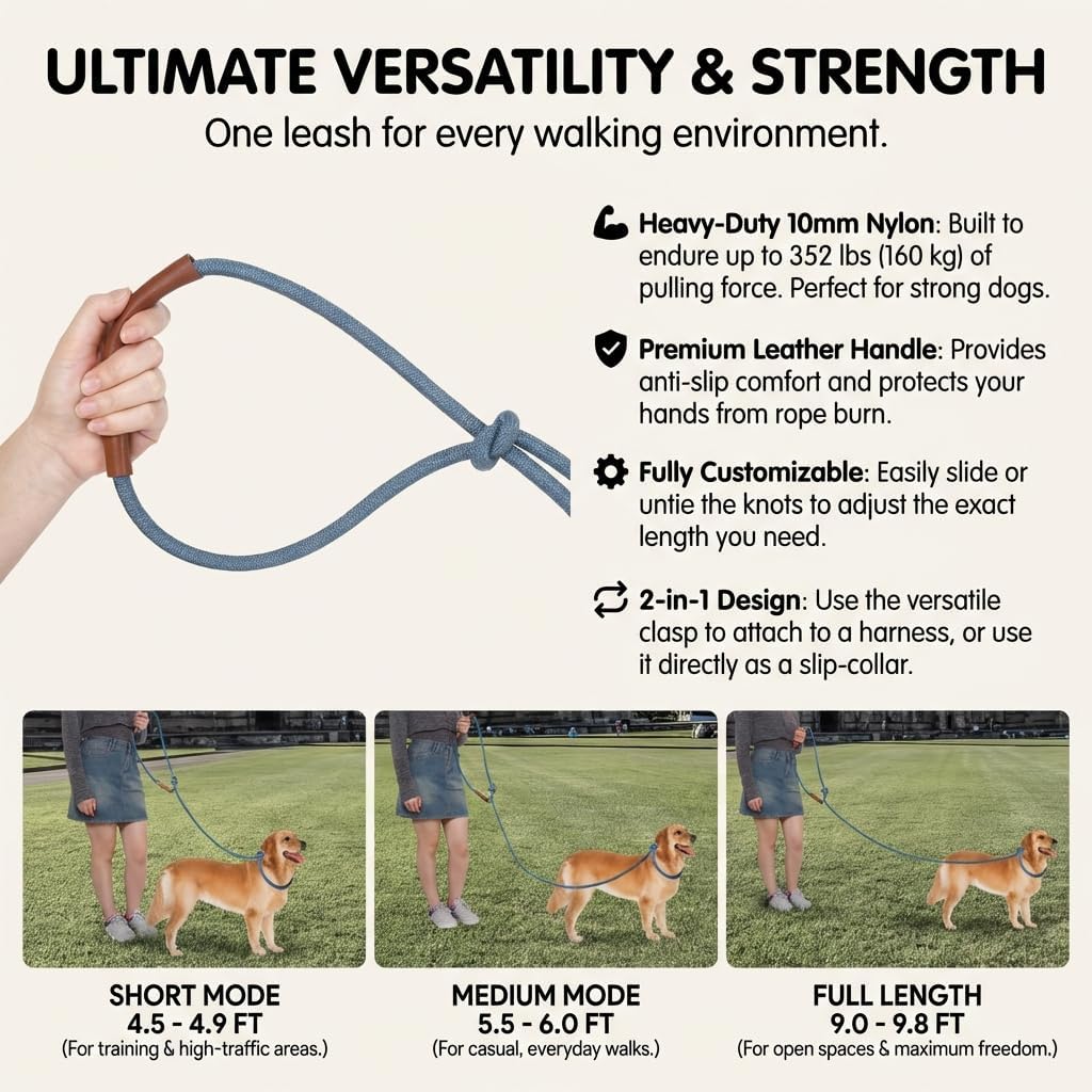 Hands Free Multifunctional Dog Leash for 1 or 2 Dogs, 9.8 ft, Tapestry Blue