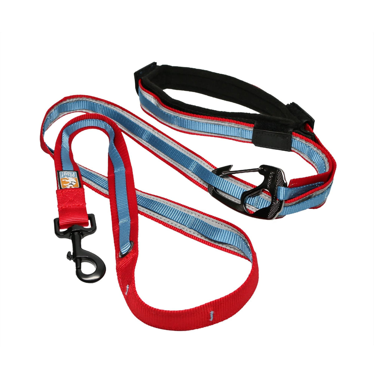 Kurgo Quantum 6 in 1 Dog Leash, Blue