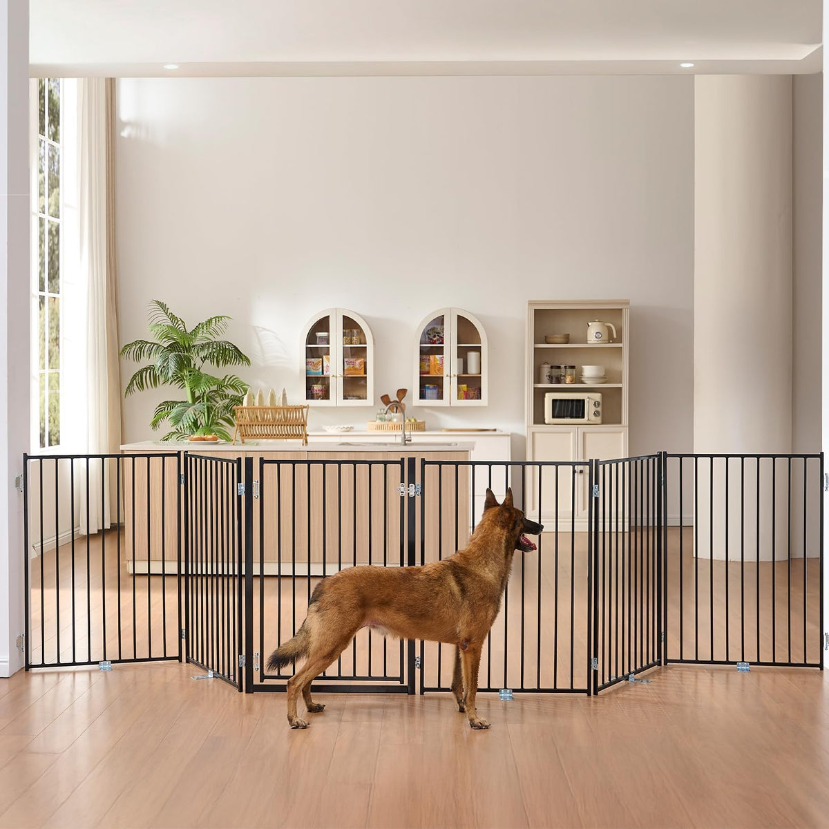 No Pawblems Freestanding Dog Gate with Door for Indoor & Outdoor, 36'' Tall